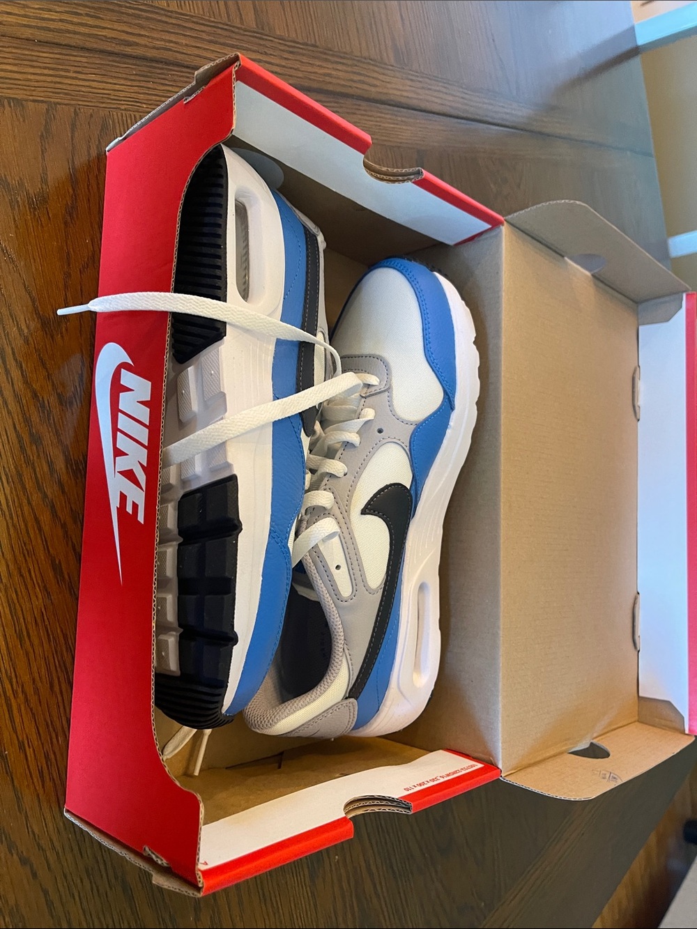 Nike Air White, Blue & Black Low-Top Sneakers